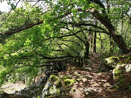 Les Gorges de Villiers
