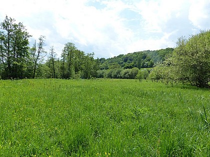 Les prairies de Campigny