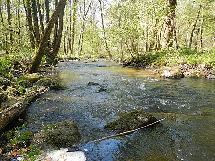 Les Gorges de Villiers - Point 8 La Gourbe