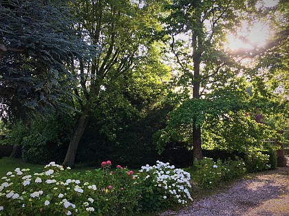 Les Jacquemarts Normands