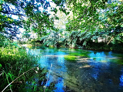 "Gamping" de la Ferme du Pollet