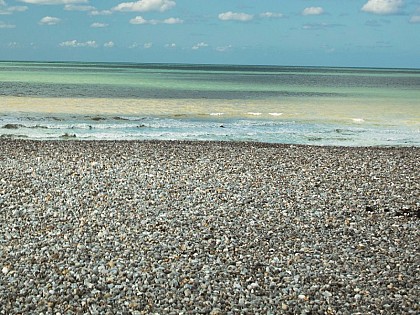 Plage-Baignade Mesnil-Val