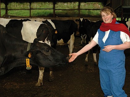 La Vache de Louvicamp