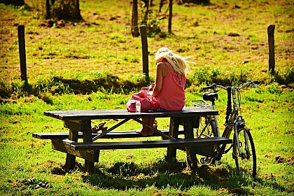 Aire de pique-nique du jardin public - La Douze