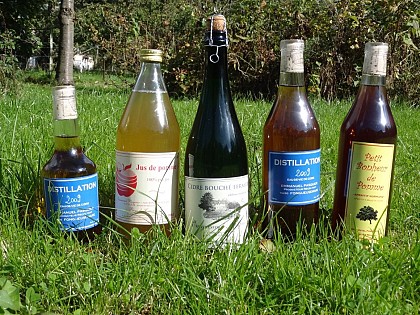 Cidre pasquier