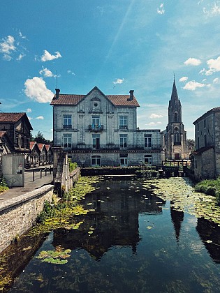 Cognac GAUTIER