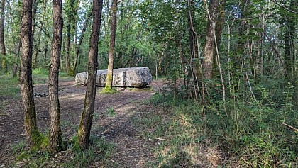 Mégalithes "La Pierre du sacrifice"