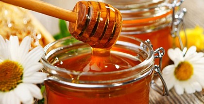 EARL Les Ruchers du Moulin à Vent