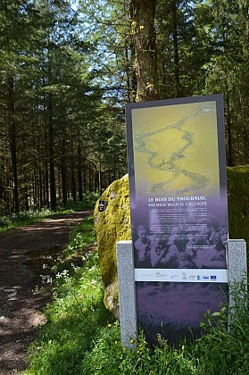 Bois du Thouraud, premier maquis Creusois
