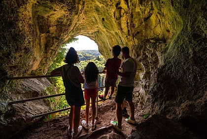 Wallonie sans voiture -  De Namur à Dinant à pied (boucle optionnelle)