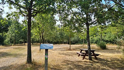 L'espace vert du Ménardeau - Bournezeau