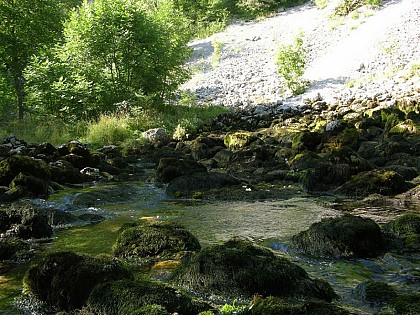 The source of the Saine, a karst spring