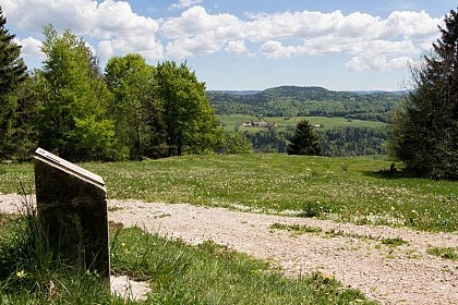 The Botanical Trail of Le Bayard