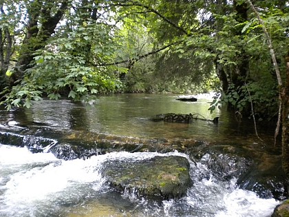 The Saine, a river full of fish