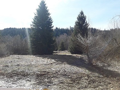 Vallée de la Morte