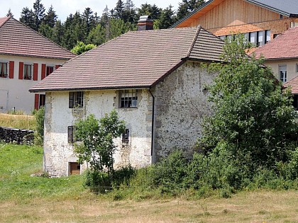 The evolution of life and buildings