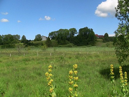 The exploitation of peat bogs