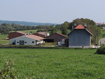 View over the old cheese dairy