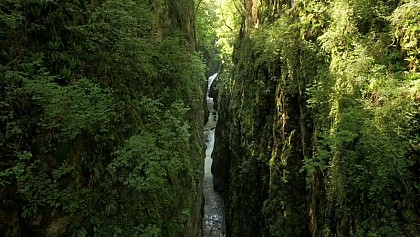 The gorges of the Langouette