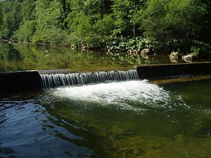 Weirs and ecological continuity