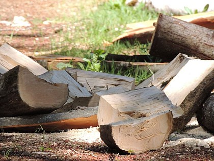 Wood and peat