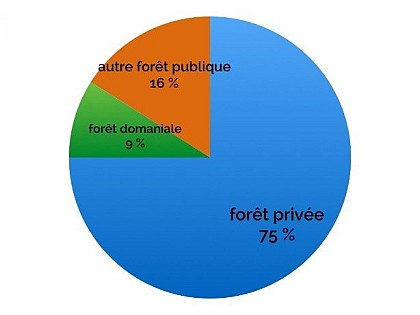 A qui appartient la forêt ?