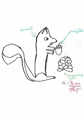 Indices : Renard , lièvre et écureuil .