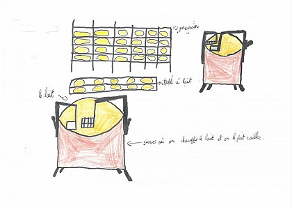 Les vaches et le comté