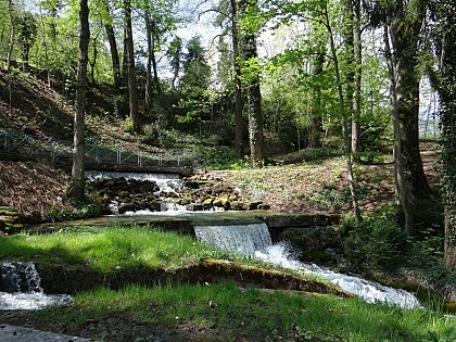 The sources of the Divonne