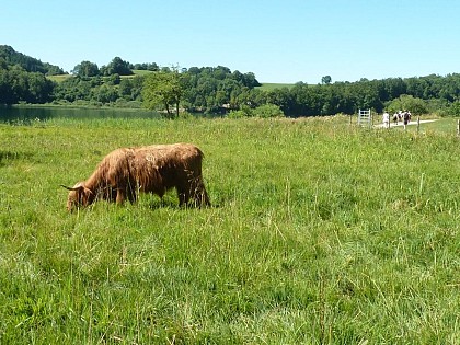 A natural managed site