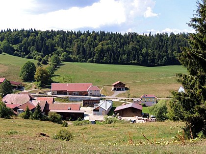 Boujeons sawmill