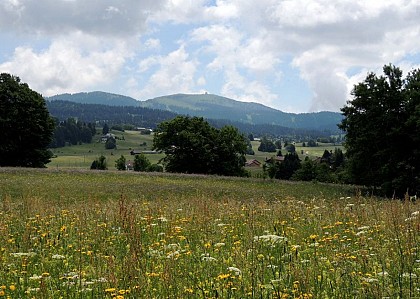 Vue sur la Dôle