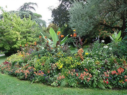 Garden "Jardin des Plantes"