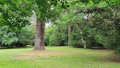 Parc de Matecoulon