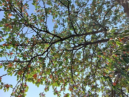Ferme de La Rivière Bourdet