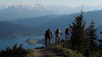 Alpes In Bike