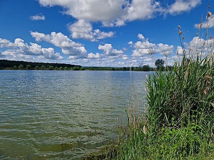 Étang de Perroi