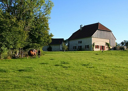 Chambre d'hôtes - La Ferme de l'Olivier