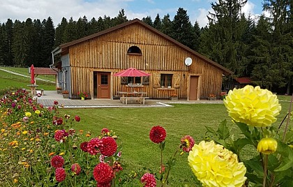 Chambre d'hôtes - Aux Trois Sapins