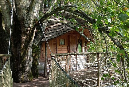 Chambre d'hôtes - Les Cabanes du Domaine de Mieslot