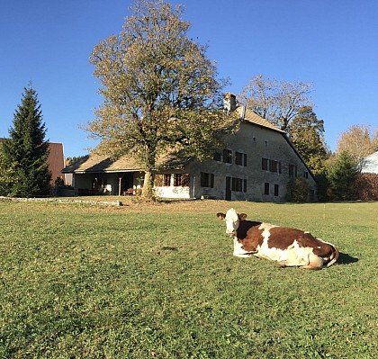 Meublés et Gîtes - L'Annexe du Haut-Doubs