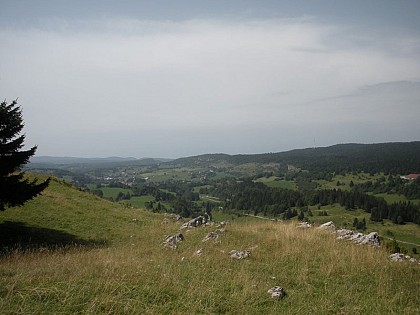Roche blanche
