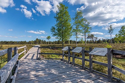 Réserve Naturelle Régionale Tourbières de Frasne Bouverans