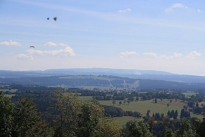 Point de vue Le Faux Verger