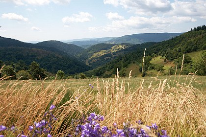 Randonnée Le Rouvey : de St Pierre sur Doux à Lalouvesc