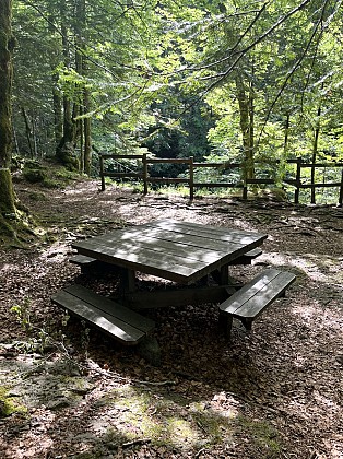 Aire pique-nique cascade du Biaguin - Le Falgoux