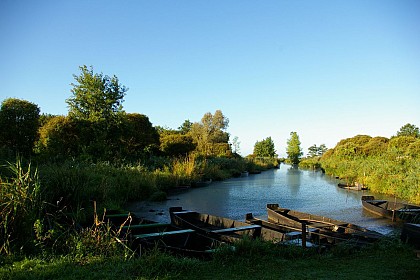 Découverte de La Brière en Chaland - Port de La Pierre Fendue