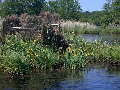 Découverte de La Brière en Chaland - Port de La Belle Fontaine