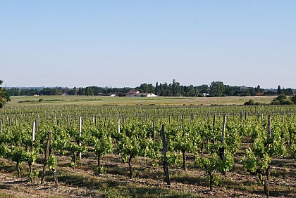 Point de vue remarquable