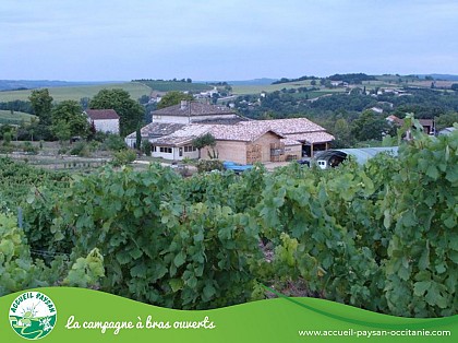 DOMAINE DE PEYRES-COMBE